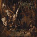 IX Equilibrium Cover